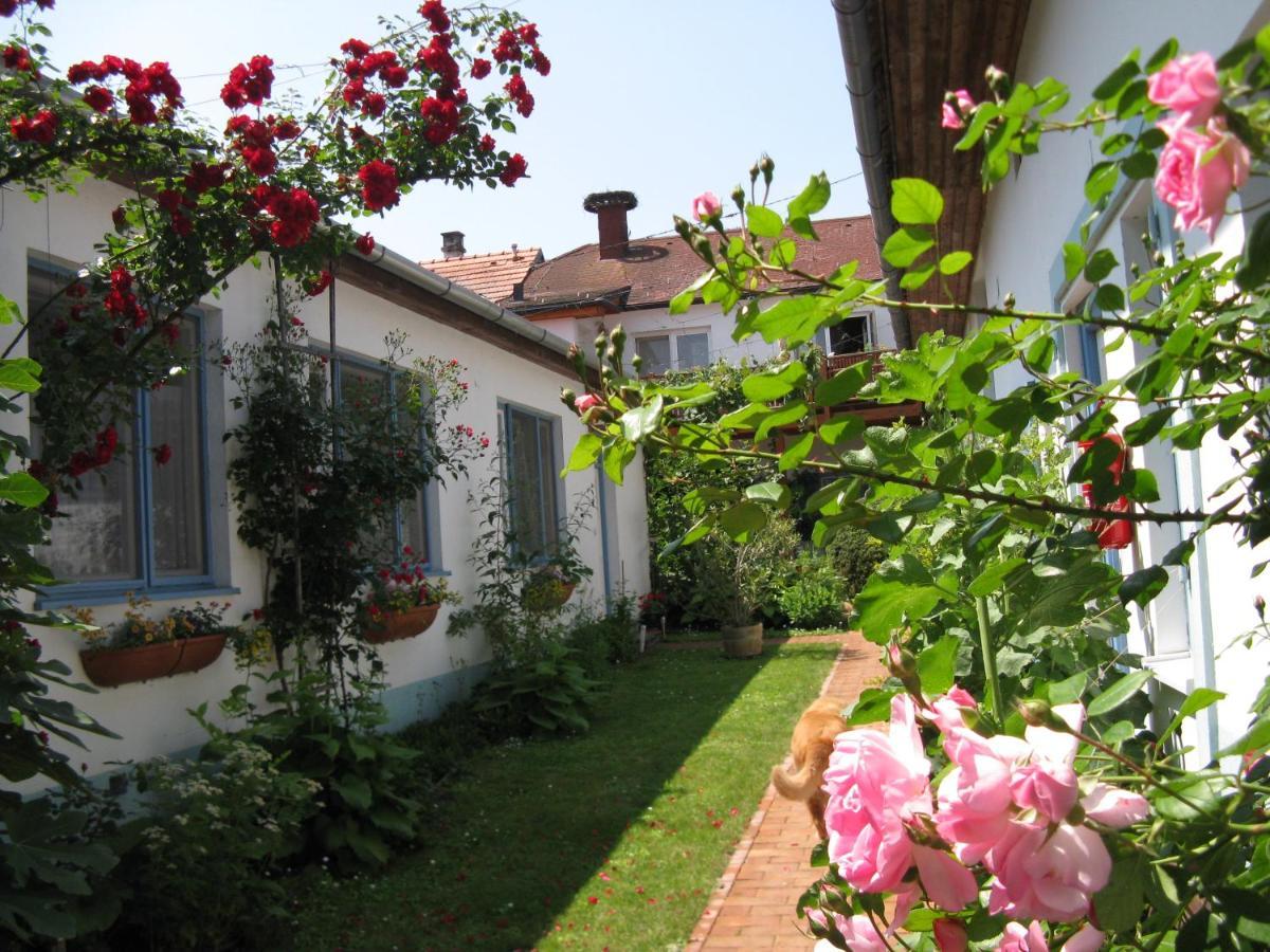 Stieglerhof Kg -Apartments Illmitz- Экстерьер фото