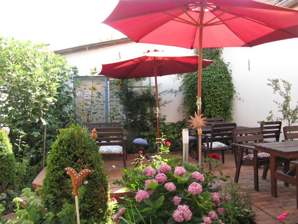 Stieglerhof Kg -Apartments Illmitz- Экстерьер фото