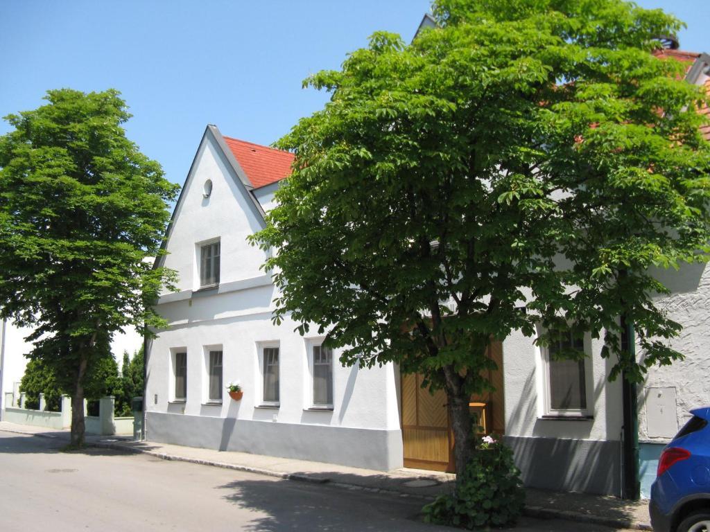 Stieglerhof Kg -Apartments Illmitz- Экстерьер фото
